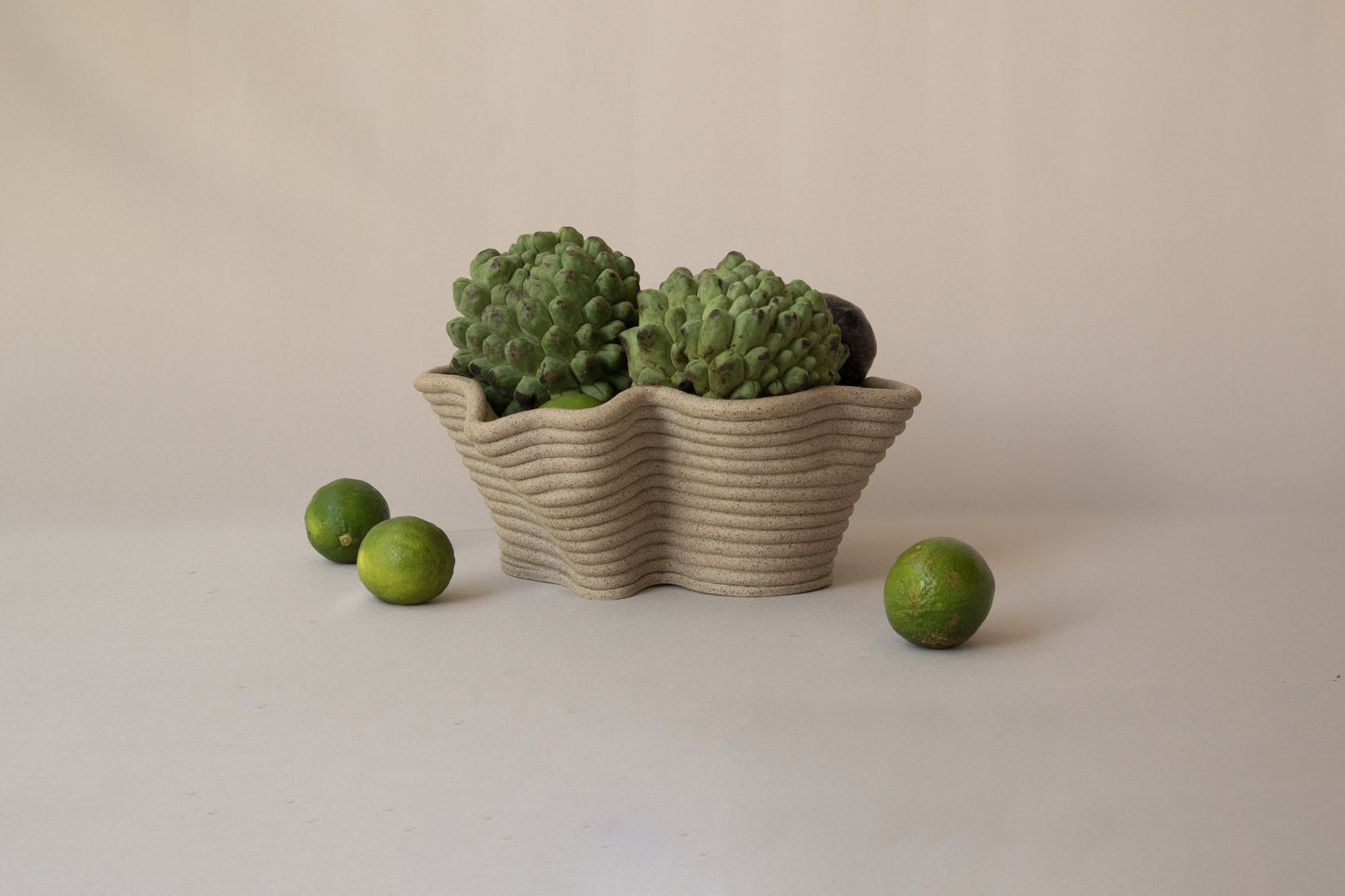 Nest Sculpture nº6 - Fruit Bowl