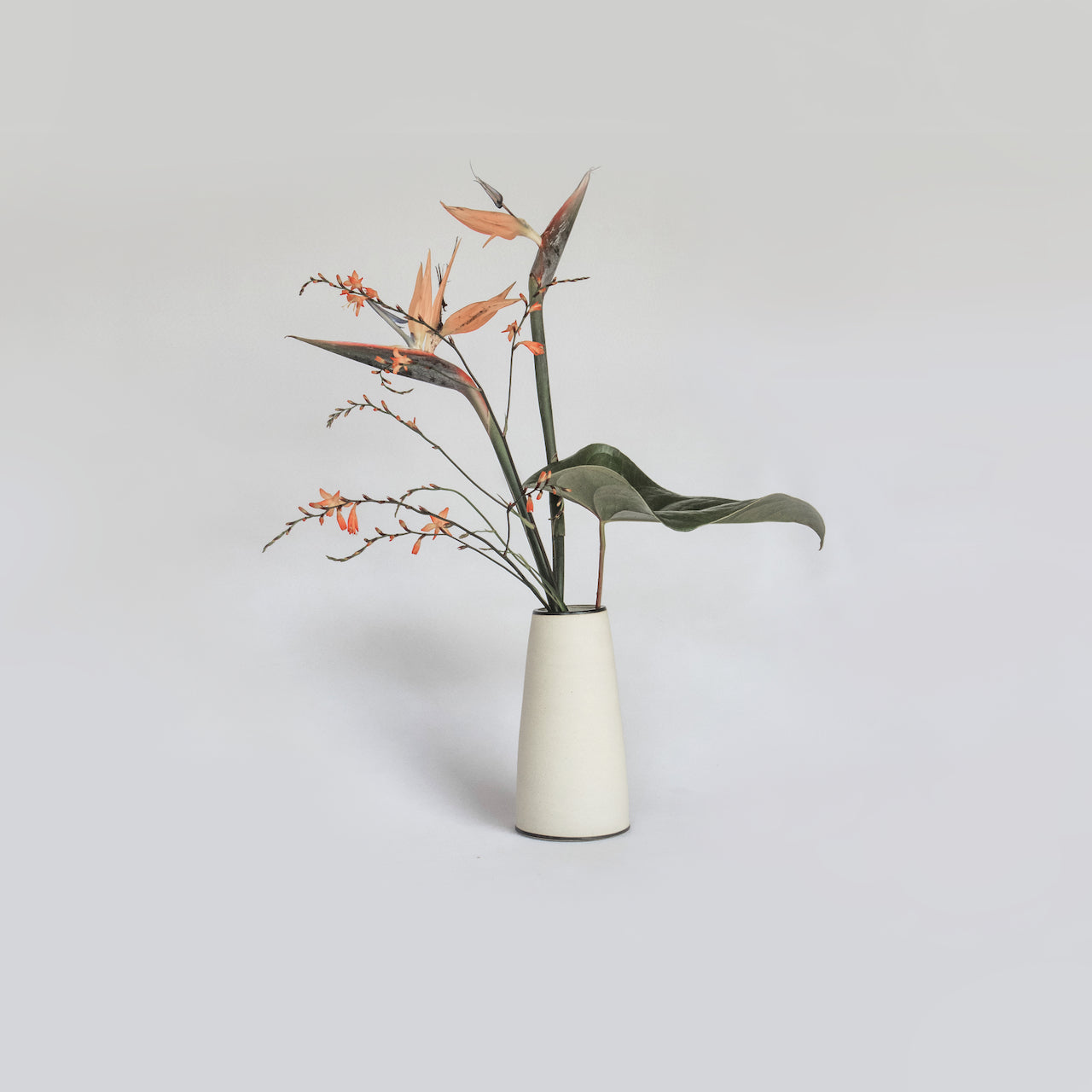 Vase Shape